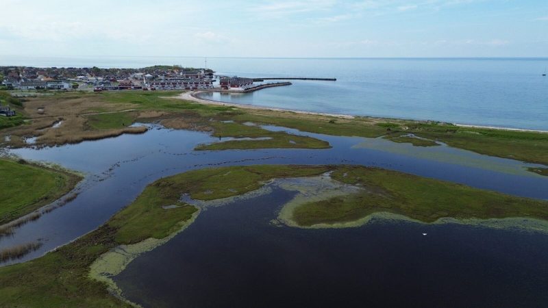 La Agencia Danesa para la Planificación de Espacios Verdes y el Medio Ambiente Acuático (SGAV) – Refuerzo de las pruebas mediante análisis de madurez y formación